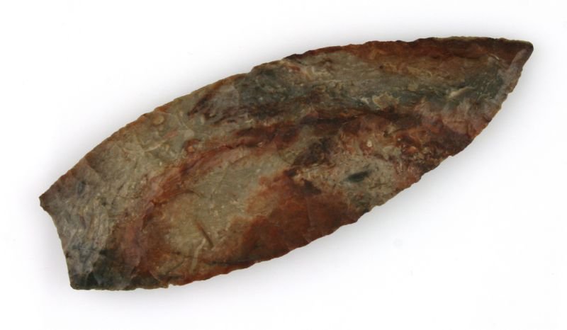 3 1/2" Angostura - Jackson COA: Super example from Illinois/Missouri formerly of the Dr. Galen Irwin Collection. Fossil chert. Jackson COA.