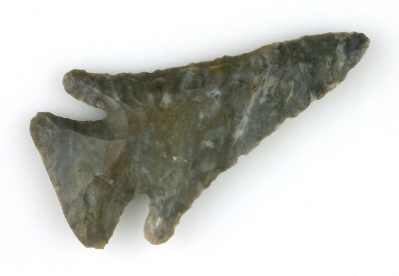 2 13/16" Thebes - Davis G-9 COA: Beautiful Mercer Chert from Holmes Co. Ohio. Great form with long sweeping wings.
