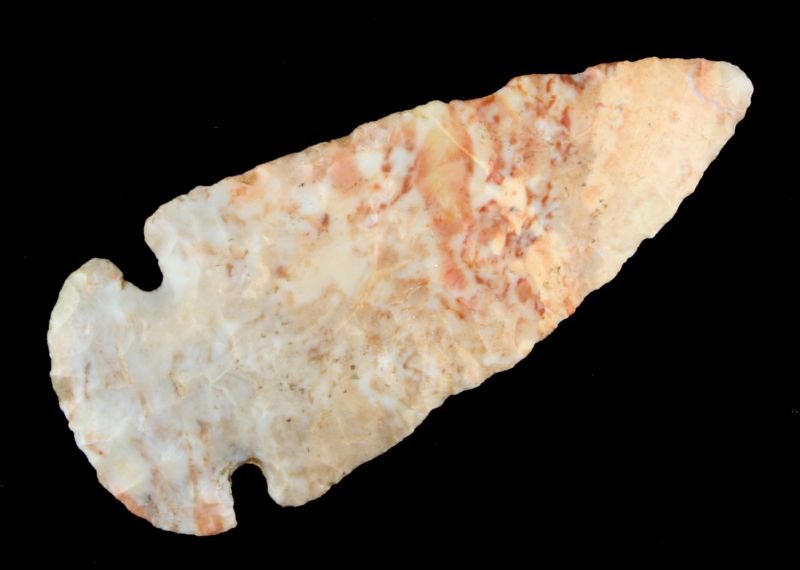 Extremely Colorful 3 1/2 Dovetail - 2 COA's: Extra pretty Flint Ridge Flint. Found in Stark County, Ohio. Putty and Partain COA's.