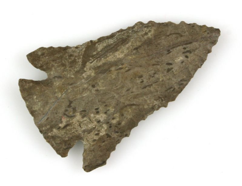 3" Pinetree with Jackson G-10 COA: Literally flawless in every detail. Amazing serrations along both edges. Pretty speckled Fort Payne chert with a nice sheen. Stewart Co., Tennessee. Jackson G-10 COA.
