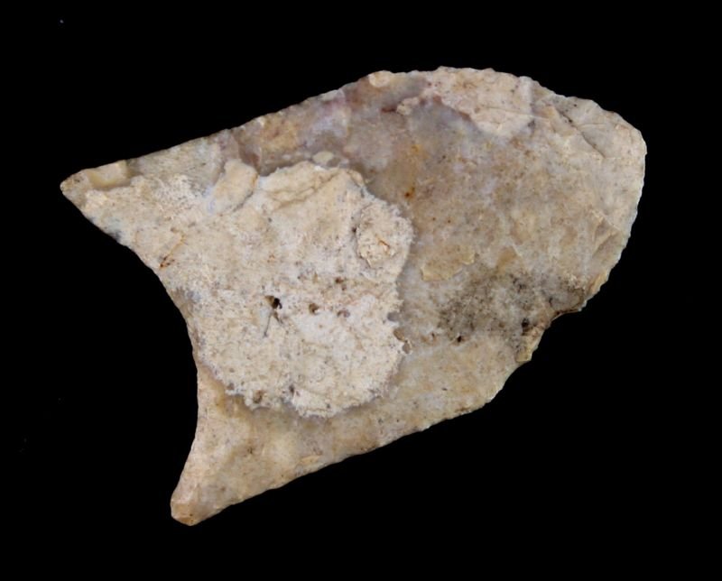 1 3/4" Michigan Clovis - Jackson COA: Bayport chert example from Michigan formerly of the Dr. Galen Irwin Collection. Jackson COA