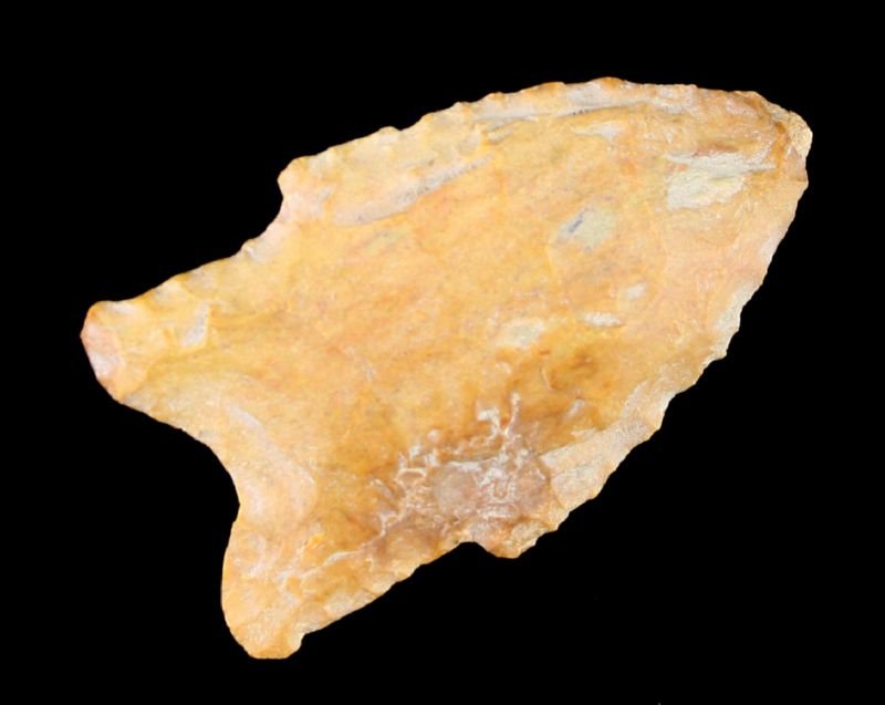 2 3/8" Holland - Partain COA: Tan cobble chert example from Chester Co., Tennessee. Partain COA. Nice! Partain says Dalton. We say Holland.
