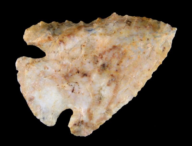 1 3/4" Lost Lake: Super nice example in Boyle Chert from Central Kentucky. Nicely serrated G-8/9 example. Colorful!