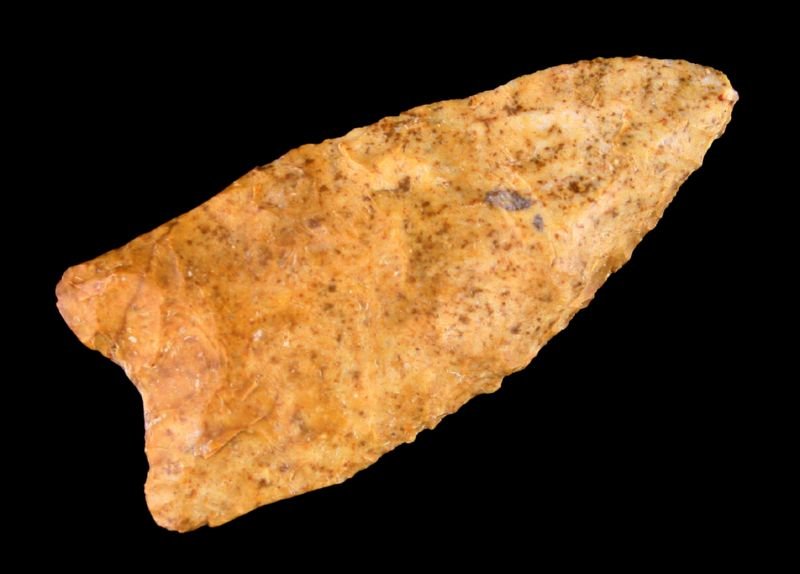 2 1/2" Dalton: Nice example from Stoddard Co., Missouri in a pumpkin burlington chert. Nice!