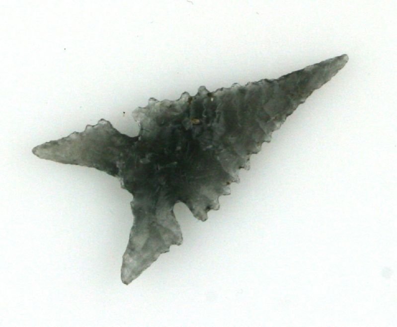 1 1/16" Miniature Northern Wolf Ears: Incredible example. Precise, delicate, and gorgeous don't begin to describe this piece. One in a lifetime is more like it. Translucent Ice Obsidian to boot. Klamath Co., Oregon. Ex- Bob Rogers. Collec