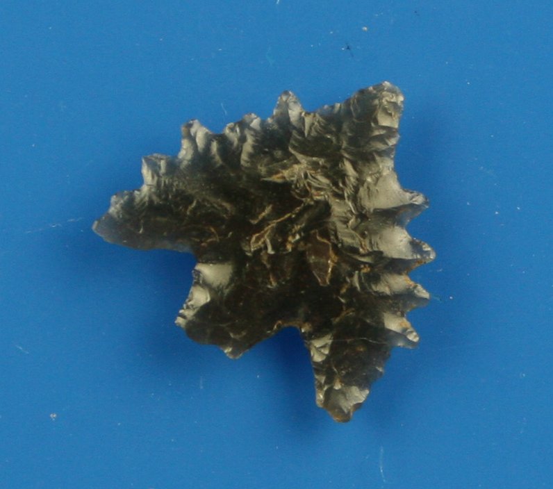 13/16" Calapooya: Obsidian example from Northern California. Nice!