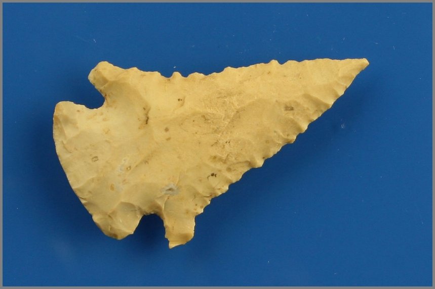 1 7/8" Pinetree: Cream Fossil Chert example from Kentucky. Nice!