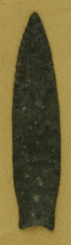 REPRO 6 1/8" Dalton: Framed piece in a fossil chert. Reproduction.