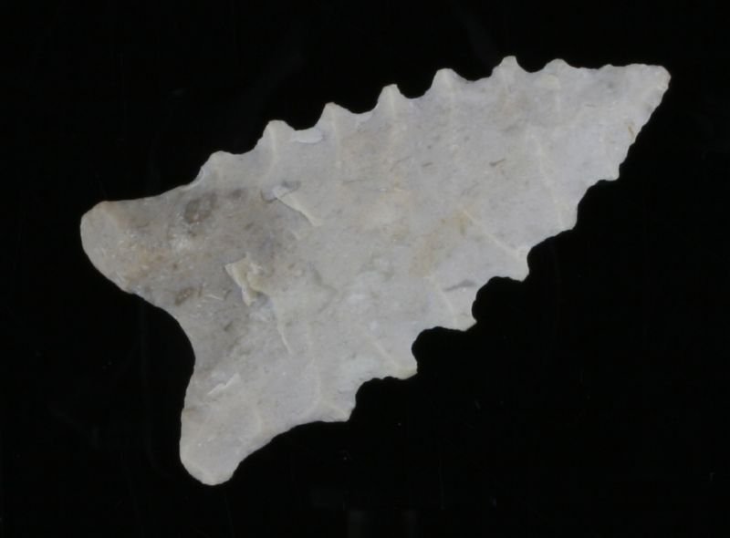 REPRO - 2 3/8" Dalton: Arkansas type. Cream and gray fossil chert. Great serrations. Appears to be an aged 'reproduction' in our opinion.