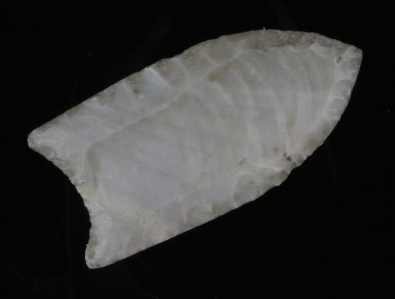 2" Folsom Reproduction: High grade gray fossil chert. Ultra thin. Fluted to the tip on both sides. Old Texas Collection. Aged reproduction in our opinion.