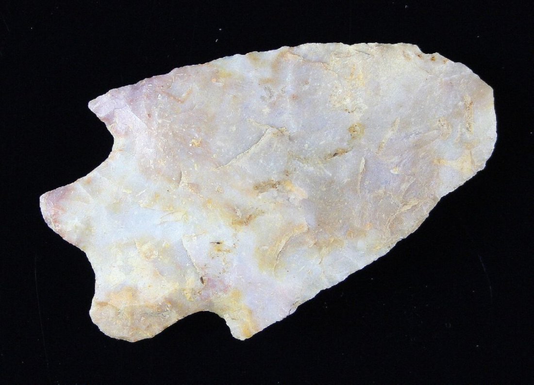 2 1/2" Maccorkle: Boyle Chert example from Central Kentucky. Nicely made and colorful with lots of fossils.