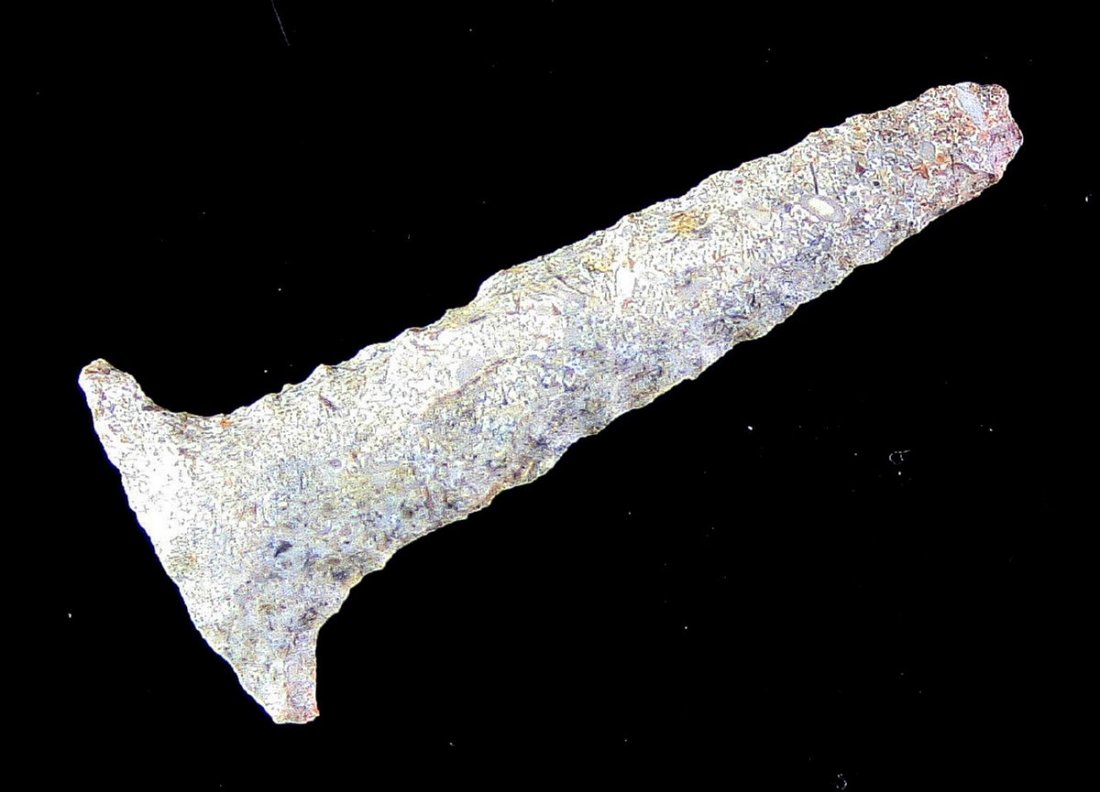 1 15/16" Drill: Nice fossil chert example found in Madison Co., Kentucky.