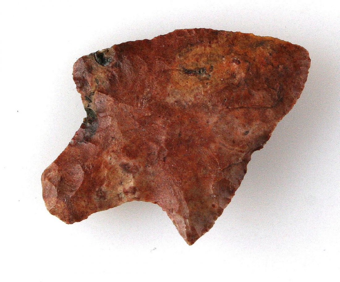 2 1/8" Newnan: Colorful chert example from northern florida and formerly of the leland collection.