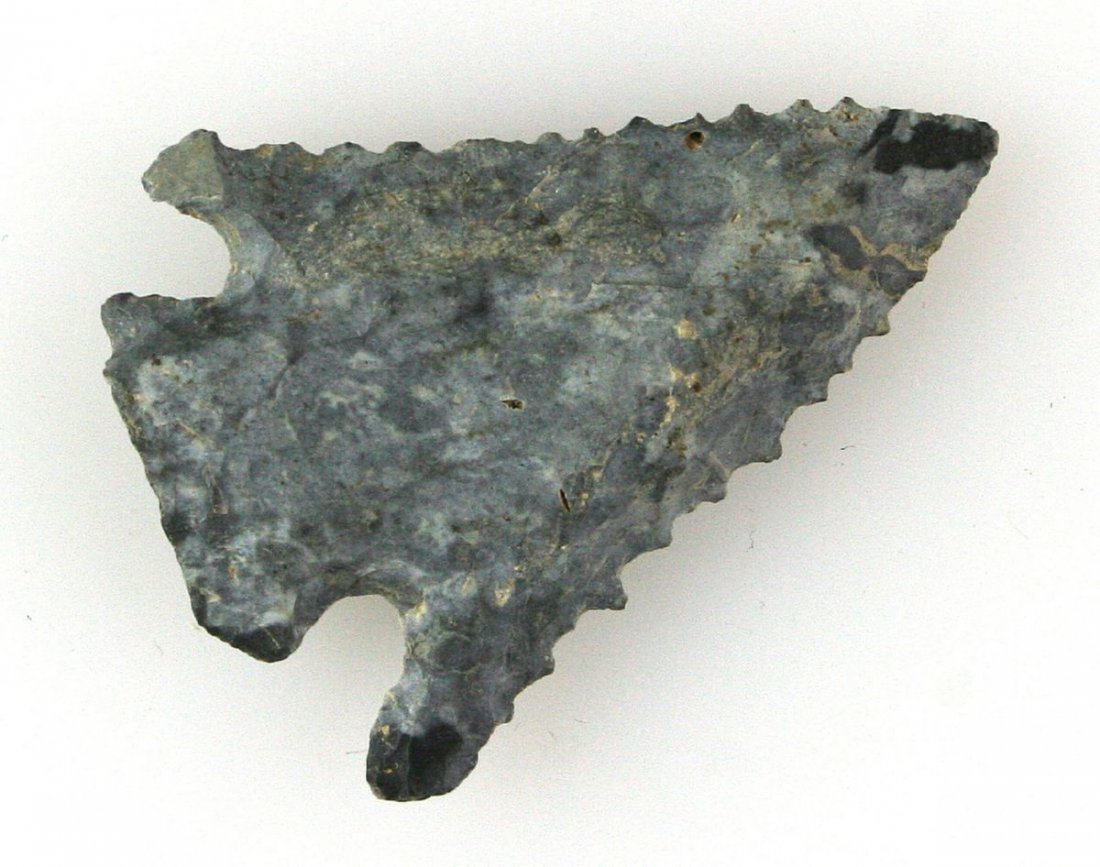 1 13/16" Serrated Pinetree: Super nicely serrated example from Madison Co., Kentucky in a mottled Fort Payne Chert.