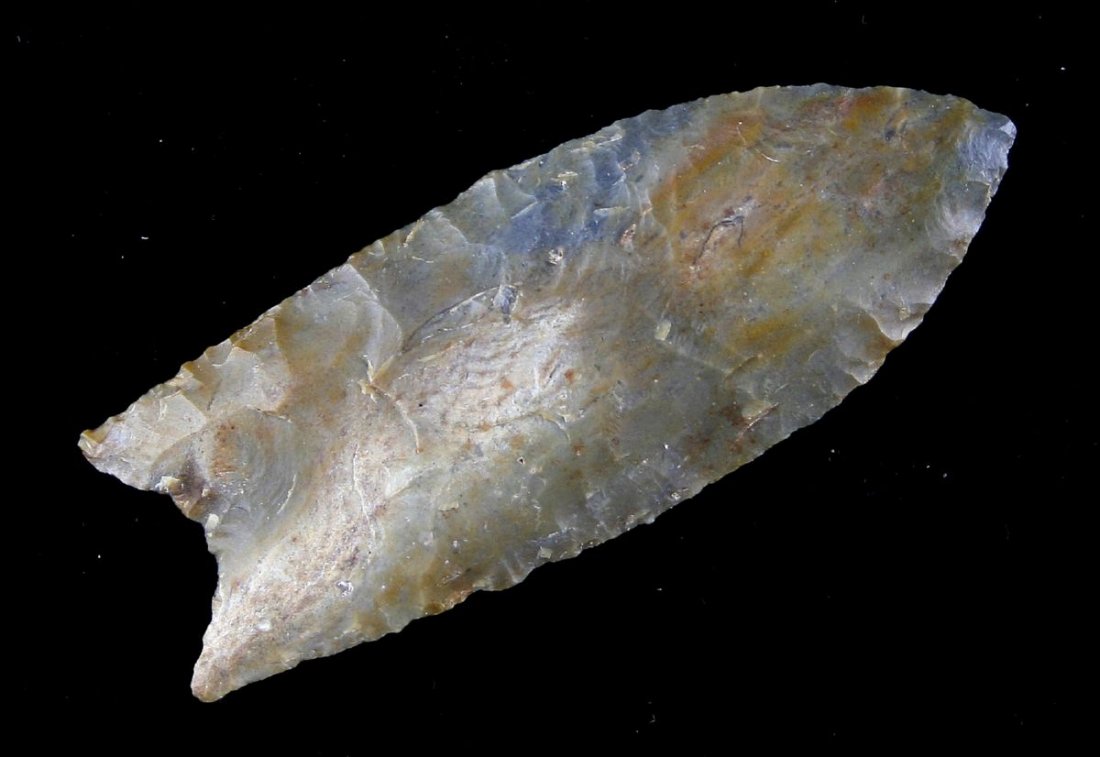 Superb 2 13/16" Clovis - Jackson G-9.5 COA: Pretty multicolored brown, green, and cream fossil chert. Old label reads - 'Boone Co., Missouri. Found by Paula Nolan.' Thin and excellent with great form and flutes. Jackson G-9.5 COA.