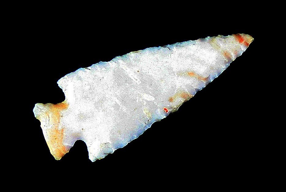 1 1/4" Scallorn - Partain COA: Nice thin example from St. Louis Co., Missouri. Crescent Quarry Chert.
