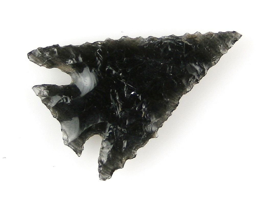 1 5/16" Elko Corner Notched: Nicely serrated example from Southern Idaho. Obsidian.