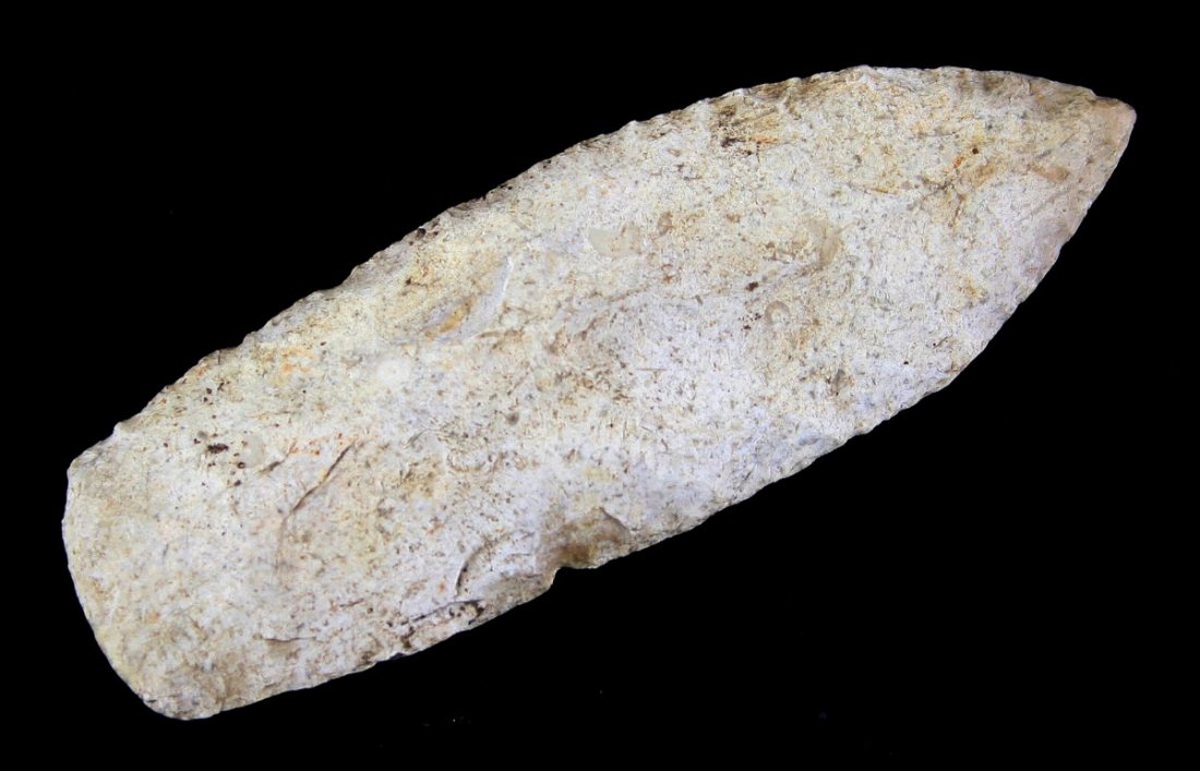 4 1/16" Wadlow - TAC COA: Superb example from southern Illinois with excellent mineralization. Burlington Chert.