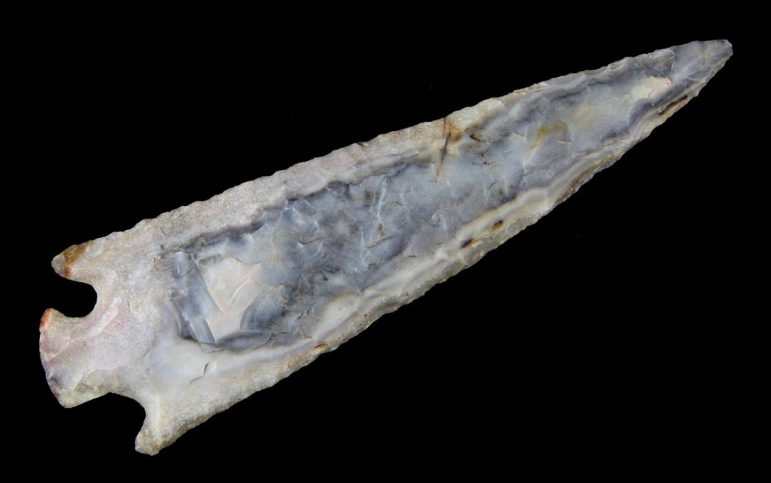 4 15/16" Cupp: Nice example reported from Texas in a tabular fossil chert. Ex - Fred Eiserman Collection.