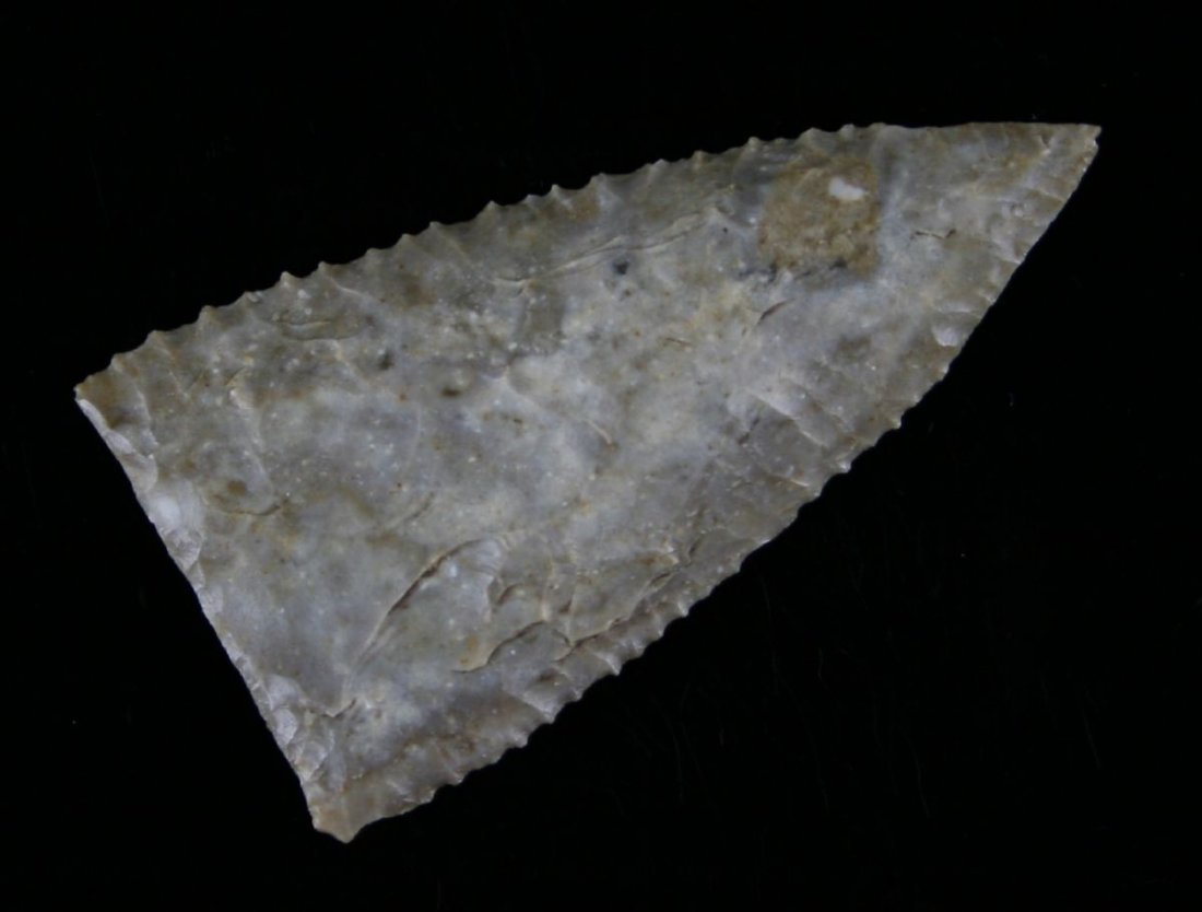 Superb 2 5/16" Early Texas Triangle: Well patinated fossil chert. Superb flaking with a distinct flute on one side and seberal thinning strikes on the other. The blade edges are loaded with dozens of serration and it has a needle tip. Re