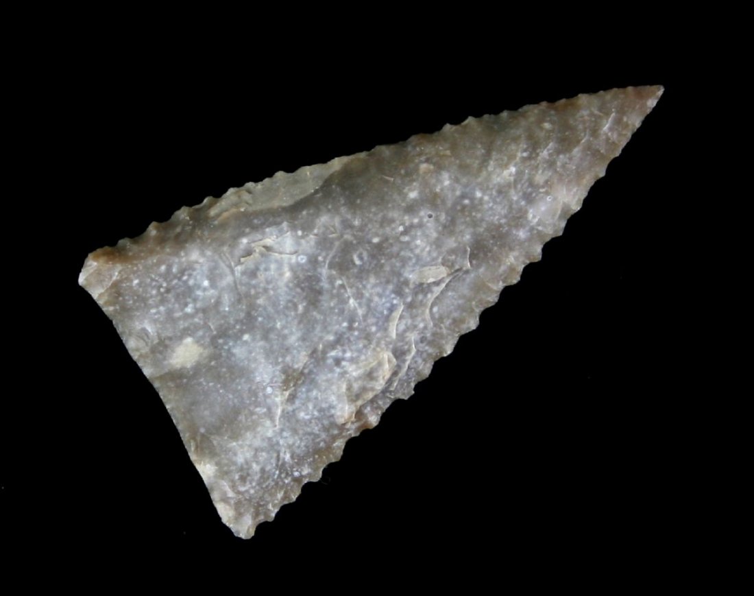 Superb 2" Texas Tortugas: Best Tortugas we have handled. Literally perfect in every way. Well patinated fossil chert. The blade edges are loaded with dozens of serration and it has a needle tip. Really a super example. Montgom