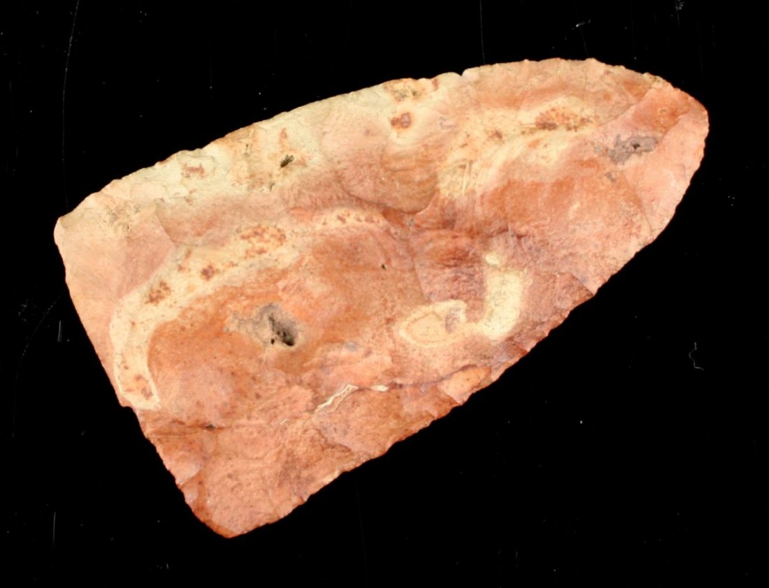 4 13/16" Florida Preform Blade: Large example from Florida in a pink fossil chert.