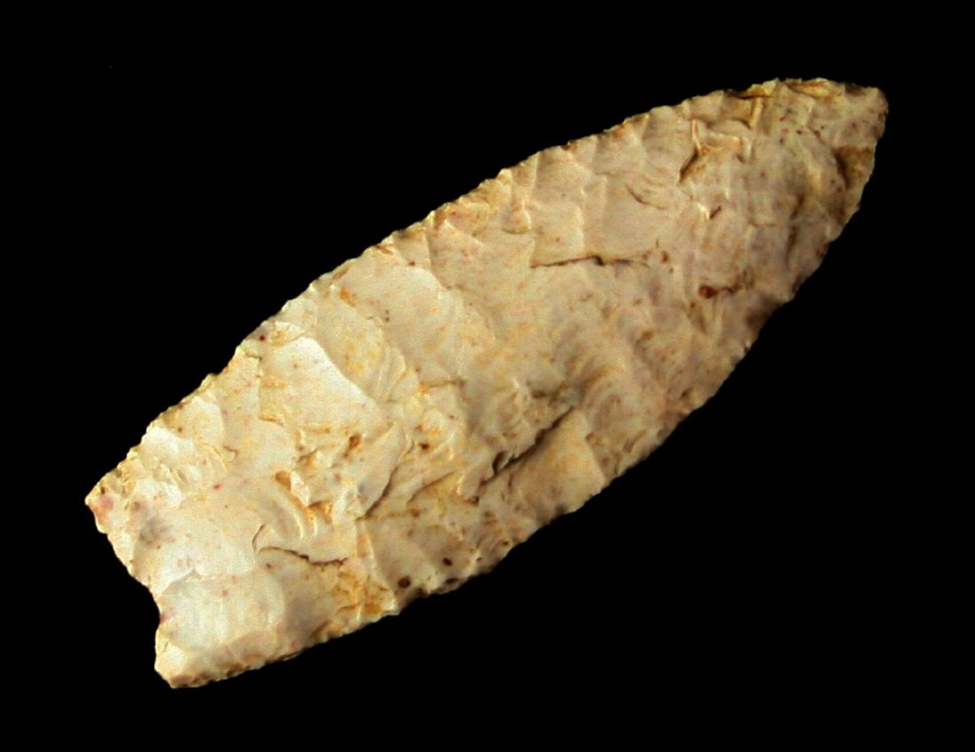 2 13/16" Unfluted Clovis: Burlington Chert example from Missouri with nice basal thinning and flaking.