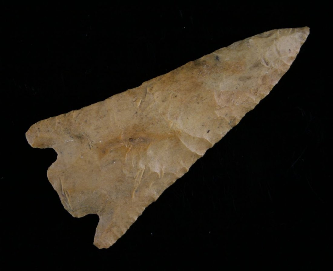 Awesome 3 3/16" Eva - Rogers COA: Perfect form and symmetry. Pretty yellow orange Camden Chert. Great flaking with needle tip. This one has it all. Southern Kentucky. Ex- Al Kennedy. Rogers COA.