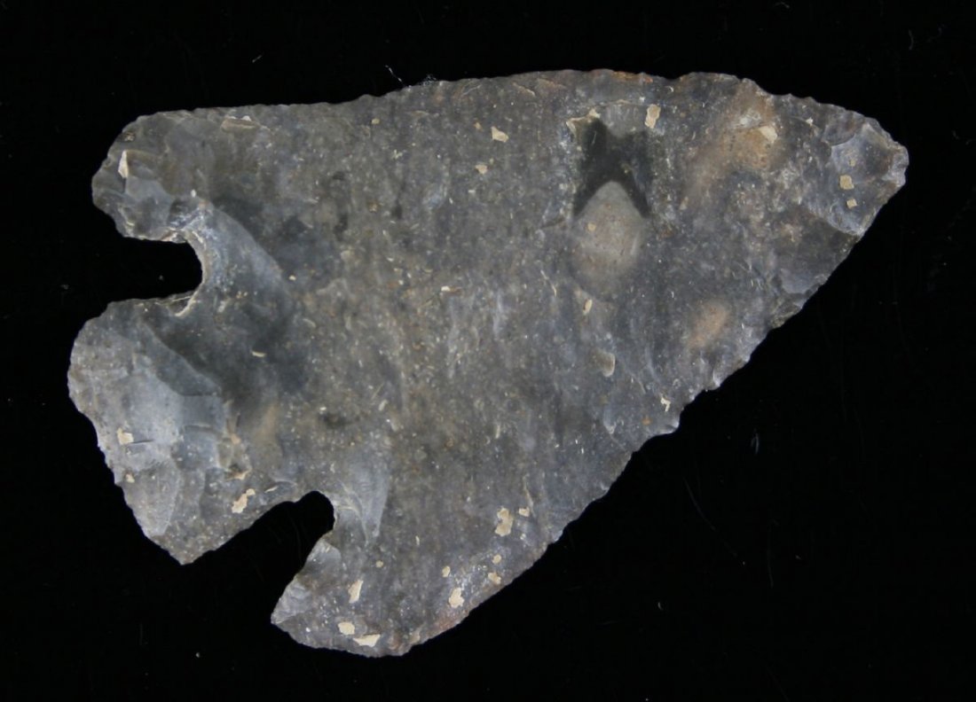 2 7/8" Shumla: Large example from an El Paso Estate Collection. Fossil chert.