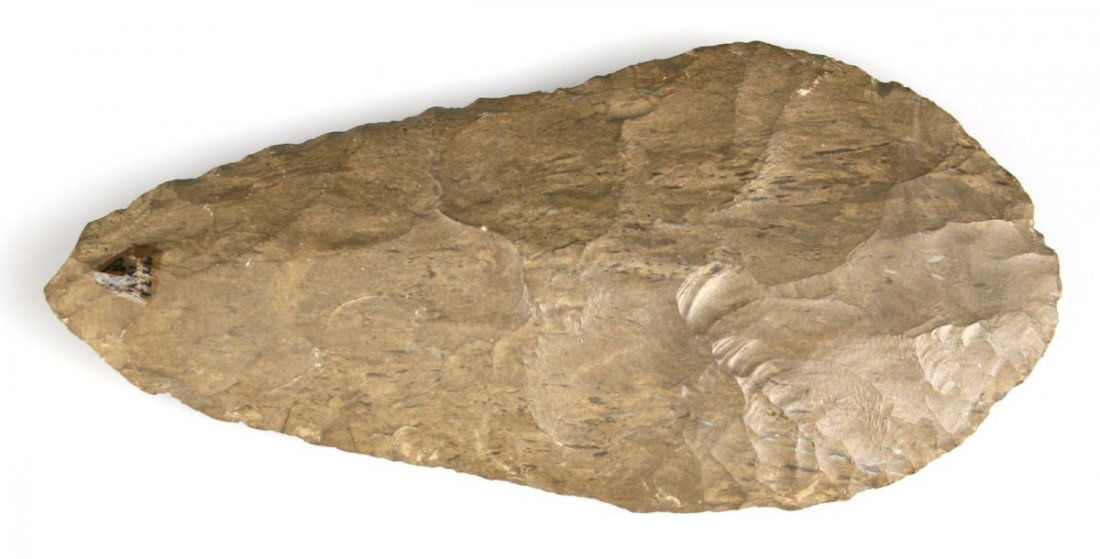 8 7/8" Flint Hoe: Fantastic example with collector tag that reads: 'From mound on Buffalo River, Humphreys Co., Tennessee. Osborn, Mar. 20, 1909' Nice use polish. Dover Chert.