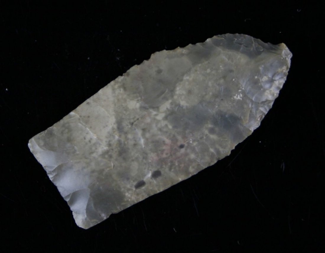 2" Midland/Unfluted Folsom: Fantastic example from an El Paso Estate Collection. West Texas/Eastern New Mexico example in a mottled Fossil Chert.