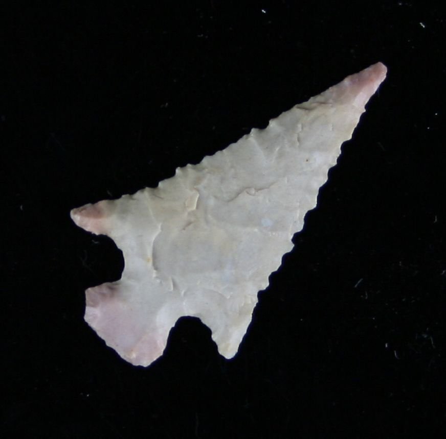 1 3/16" G-9 Scallorn: Beige chert example from Central Texas. Really nice example.