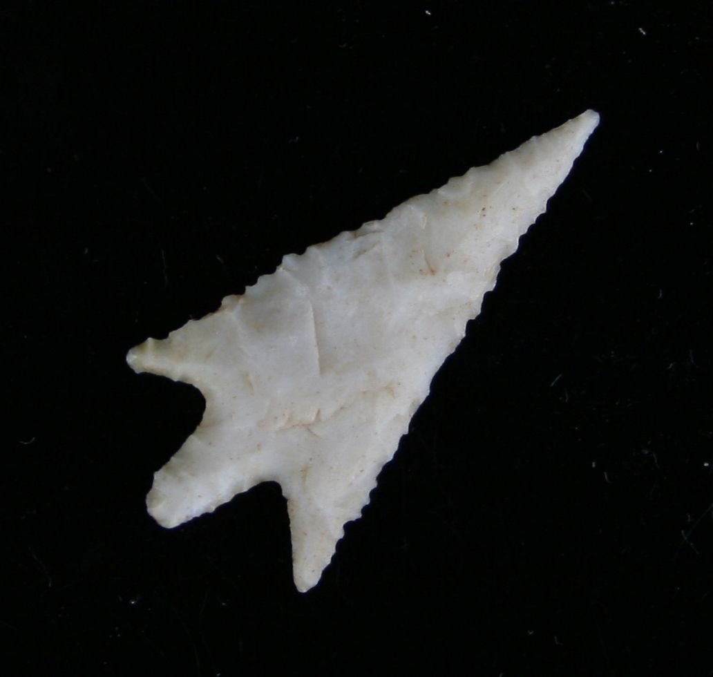 1 3/8" G-10 Perdiz: Perfect cream chert example from South Texas. Needle tip and ears.