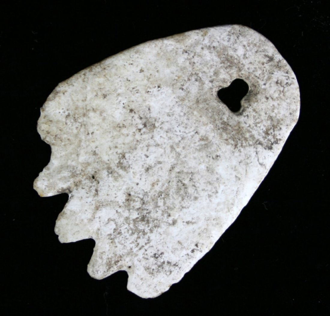 2 7/8" Fringed Shell Pendant - Davis COA: Found on the Hardin Village Site in Greenup Co., Kentucky by Gomer Moore. Davis COA