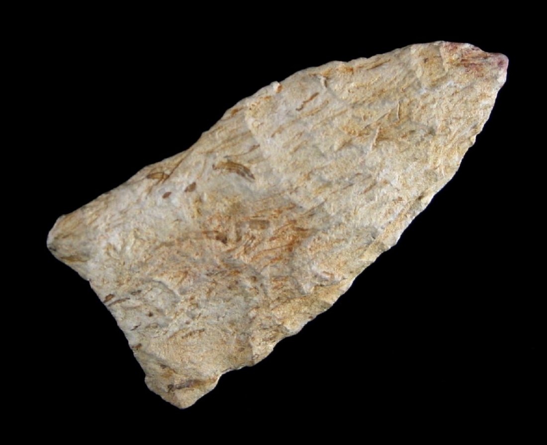 1 11/16" Petrified Wood Paleo Dart: Found in Jasper County, Texas - Near Sam rayburn Dam Site in 1935 Ex - Russell Long Collection T66/942