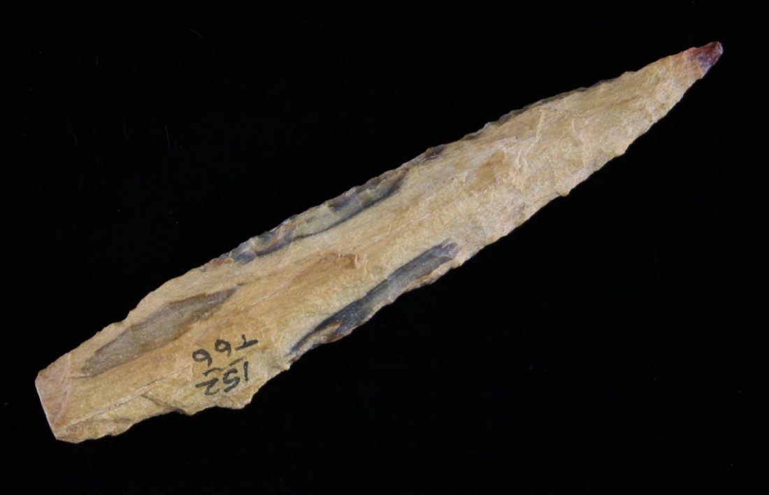 3 5/16" Spike: Nice Petrified wood piece Found in Jasper County, Texas - Near Sam rayburn Dam Site in 1935 Ex - Russell Long Collection T66/152