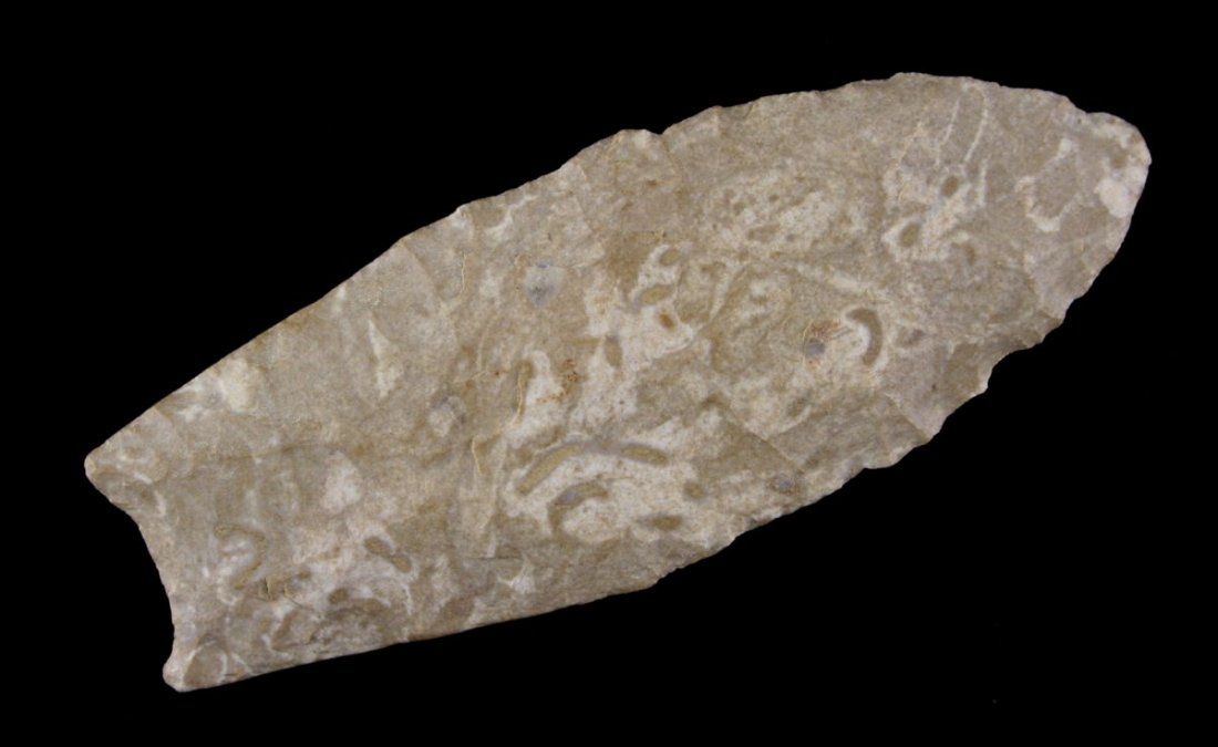 3 5/8" Clovis: Fort Payne chert example. Estate find.