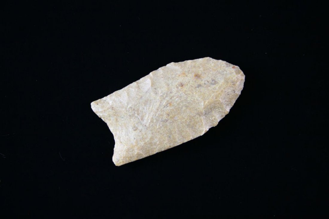 2 9/16" Clovis - Jackson COA: Pulaski Co., Kentucky example made of translucent pelloidal chert. Extra fine example! Broad, thin, and pretty with good flutes. Jackson COA.
