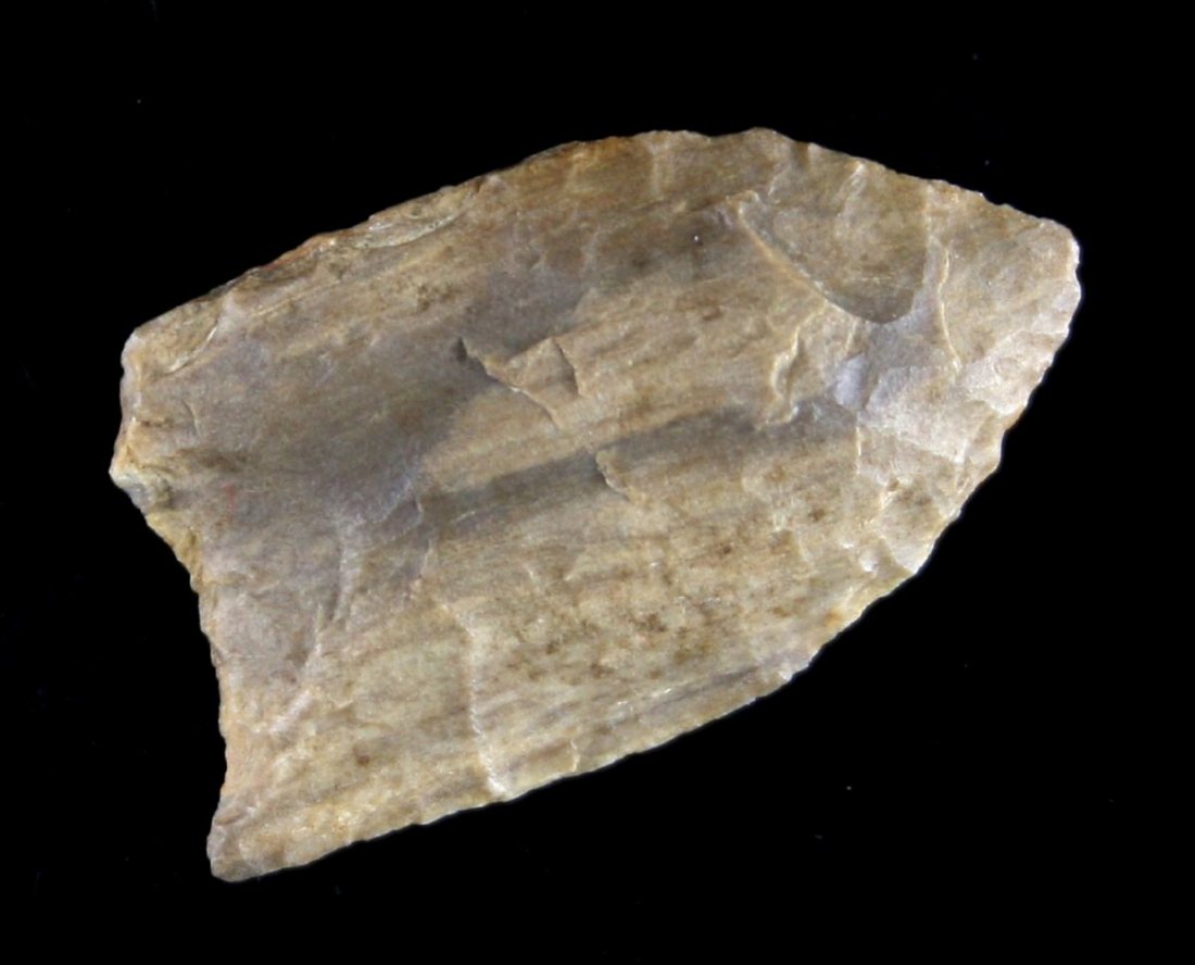 1 3/8" Unfluted Folsom/Midland: Petrified Wood example with basal thinning. Found in Jasper County, Texas - Near Sam rayburn Dam Site in 1935 Ex - Russell Long Collection T66/171