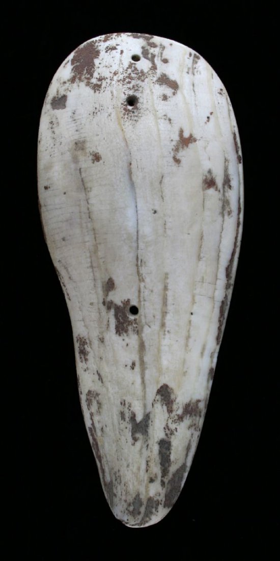 6 5/8" Glacial Kame Sandal Sole Gorget: Shell example with shell bead. Ex - Russell Long Collection