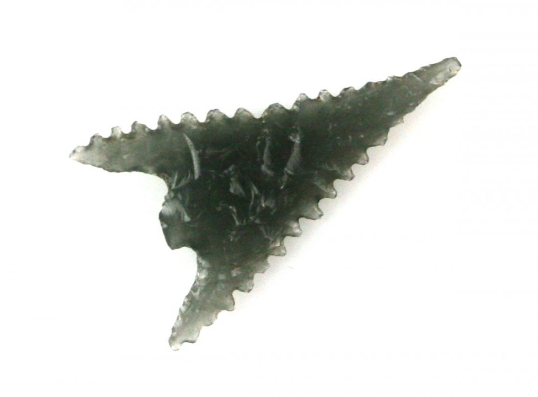 1 3/16" Gunther Rogue: Serrated with sweeping wings. Originally collected by Bob Rogers from Klamath Co., Oregon between 1950-1960. Translucent cloudy obsidian.