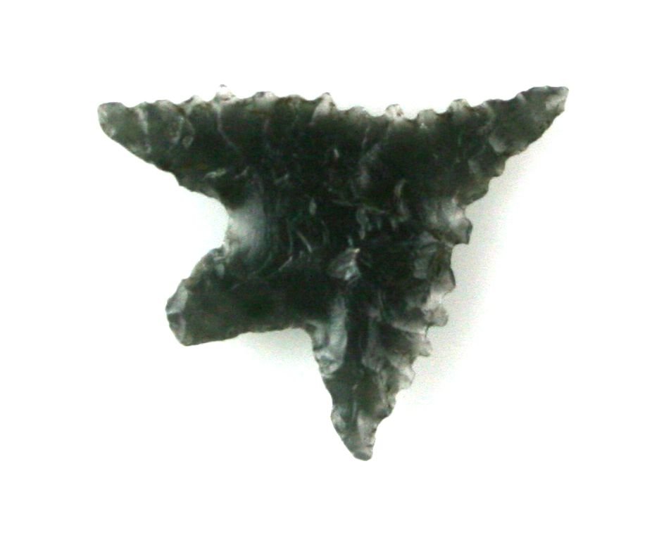 7/8" Gunther Rogue: Obsidian example from Klamath Co., Oregon originally collected between 1950/1960 by Bob Rogers. Nicely serrated!