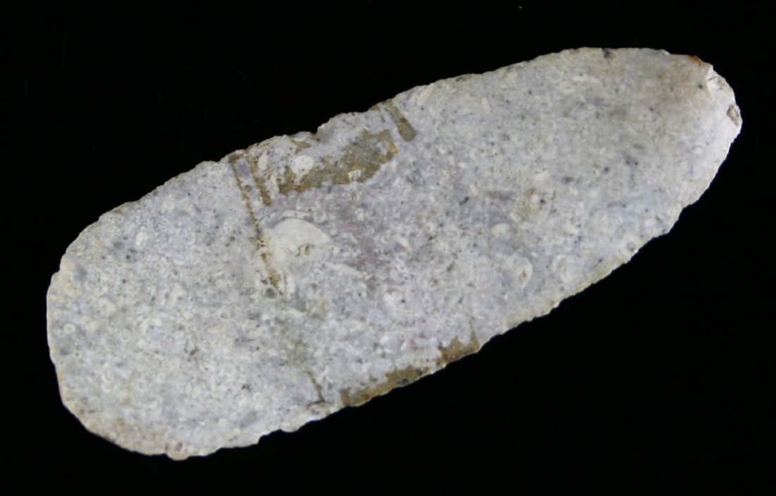 3 13/16" Scraper: large nice uniface example made from a fossil chert. Bought a box of 11 uniface tools from Jan Sorgenfrei in 1991. Found in Ohio Ex - Russell Long Collection 2805