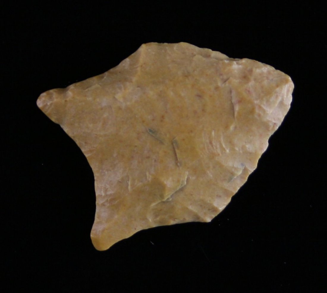 1 5/16" Pelican: River polished Jasper example. Super nice! Found in Jasper County, Texas - Near Sam rayburn Dam Site in 1935 Ex - Russell Long Collection T66/1690