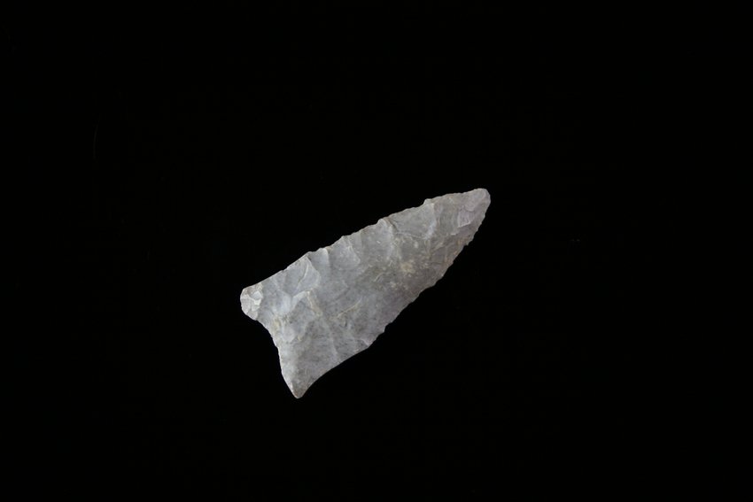 2" Dalton: Gray Fossil chert example from MO/AR.