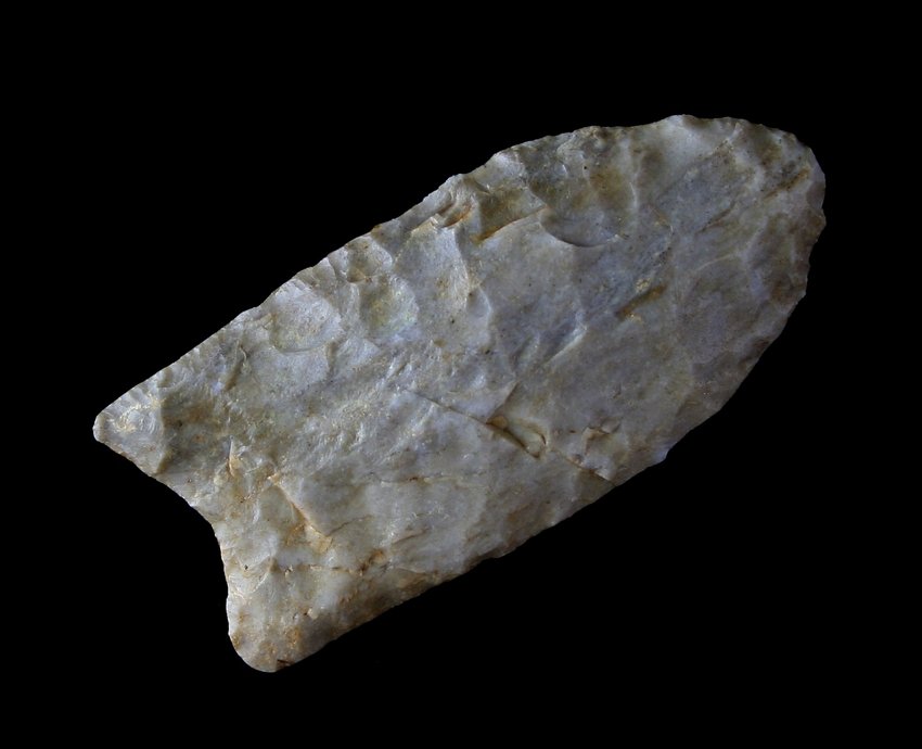 2 9/16" Clovis - Putty, Partain COAs: Miami Co., Tennessee example in a fossil chert. Putty and Partain COAs.