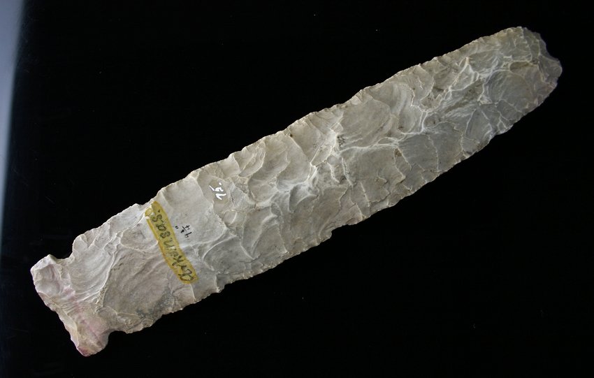 9 3/4" Hemphill - Rogers/Partain COAs: MASSIVE example found in Western Arkansas across from LeFlore Co., Oklahoma! Burlington Chert with a lot of handling/nicotine accumulation. First stage example probably used for cutting thatch like La