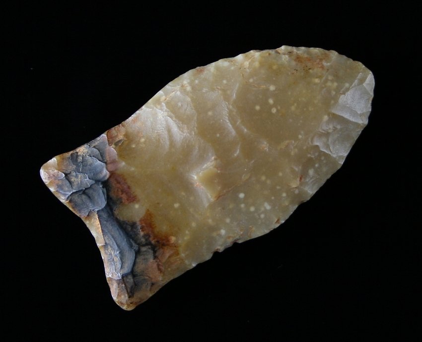 1 15/16" Clovis: Totally translucent high grade flint with hafting? Residue/staining to base. San Saba County, Texas - Tommy Breeks Ranch Ex - Russell Long Collection T12/152