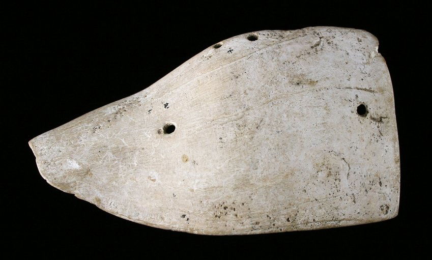 5 3/4" Glacial Kame Shell Gorget: Super rare item. Ex - Dr. Bondley and a gift from Dean Driskell. Super nice. Found near Hog Creek in Ada, Ohio Ex - Russell Long Collection 2781