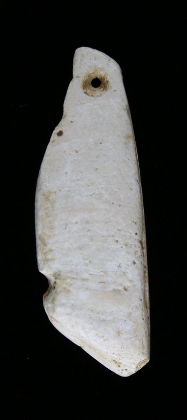 1 15/16" Shell Pendant: Nicely polished shell. Purchased from the J.T. Collier Collection in March of 1967 - Austin County, Texas Ex - Russell Long Collection T113/1561